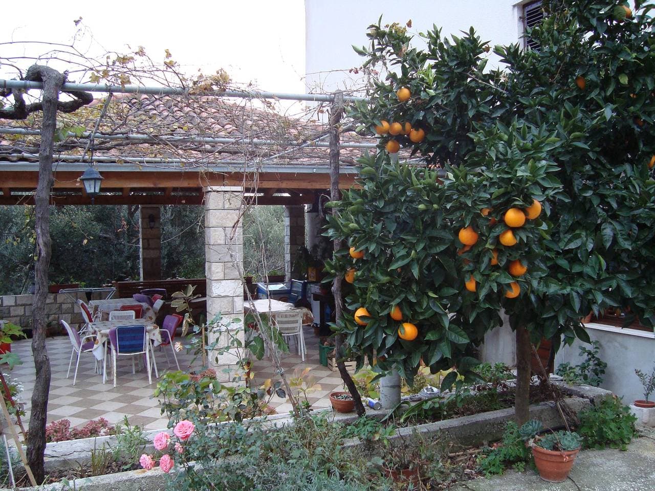 Foto 6 von 21: 1-Zimmer-Ferienwohnung mit Klima Sladenovici (Dubrovnik) -a