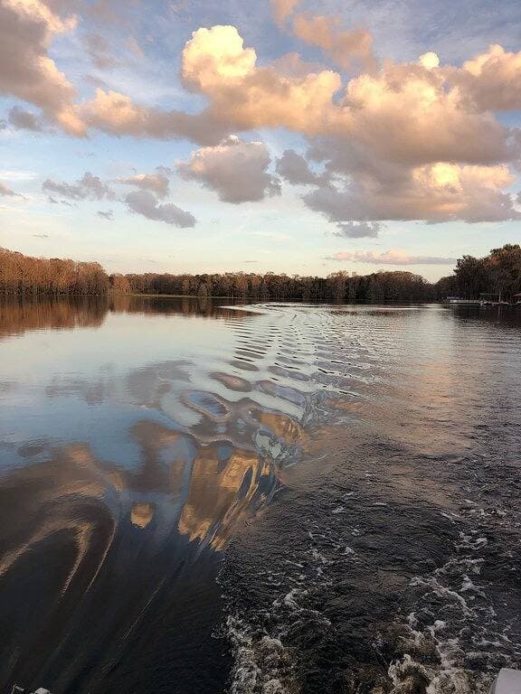 Foto 12 von 32: Lakefront Cottage, Bootfahren, Angeln, haustierfreundlich, Internet