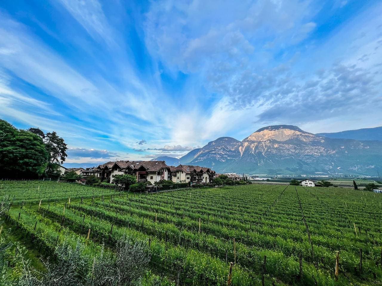 Foto 6 von 25: Ferienwohnung "Haus Weinblick 5" mit Bergblick, Garten & WLAN