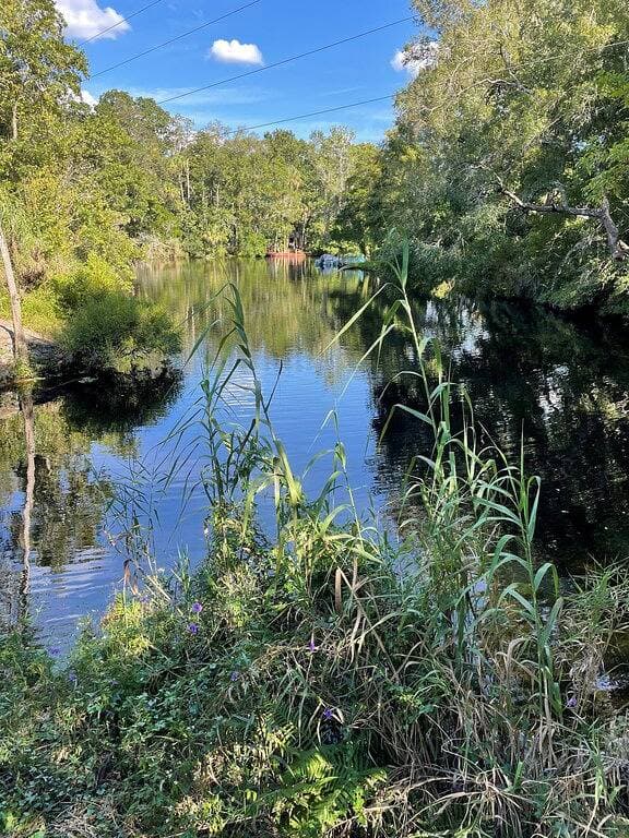 Foto 4 von 36: Schnorcheln Sie mit den Seekühen in Ihrem Hinterhof - Kajaks inklusive