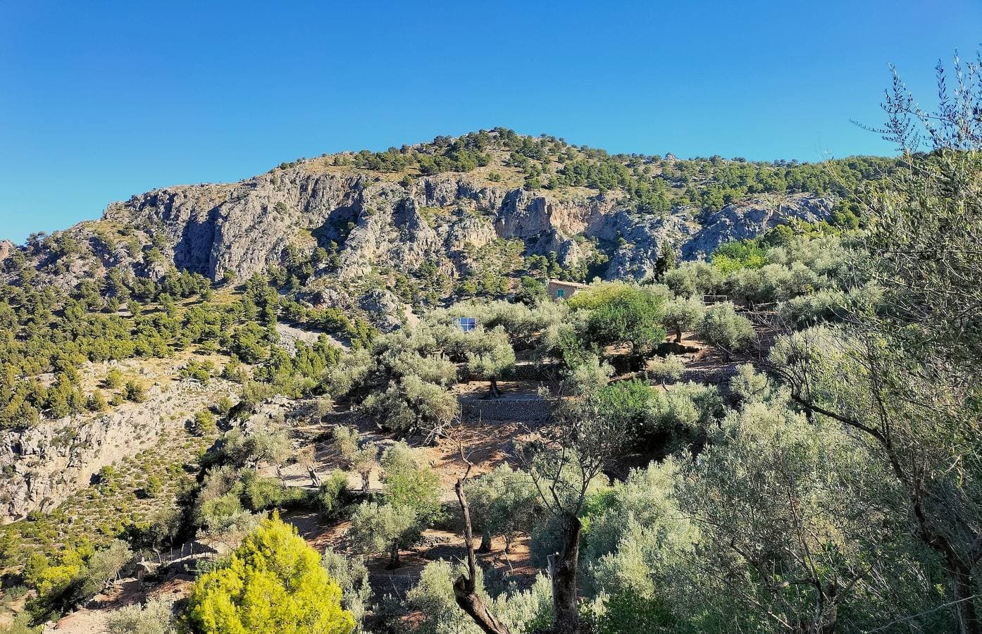 Foto 8 von 33: „Sóller Villa es Coco“ mit Ausblick, privater Terrasse und WLAN