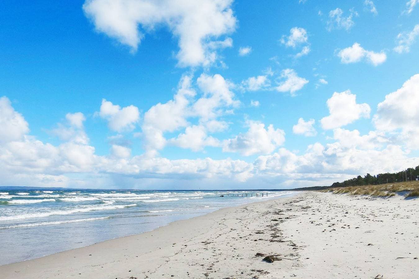 Foto 2 von 24: FeWo direkt am Strand, Balkon mit Meerblick - Dünenresidenz FeWo Windjammer