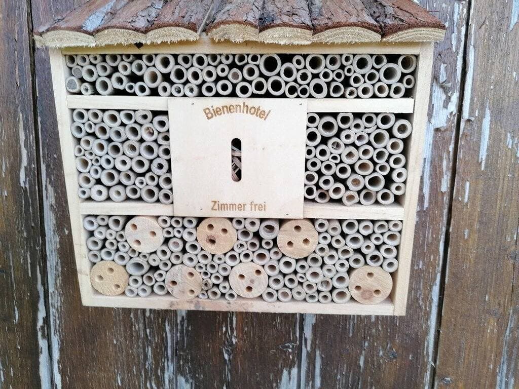 Foto 13 von 25: Ferienwohnung in Breitnau mit Wifi
