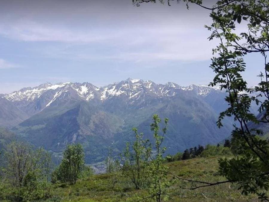 Foto 10 von 16: Camping Les Tilleuls - Tiny house 4 personen - Hütte Perce Neige