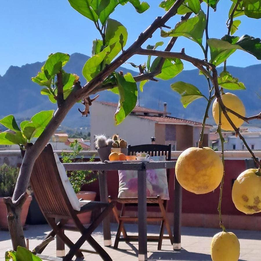 B&B Domu Mea 1