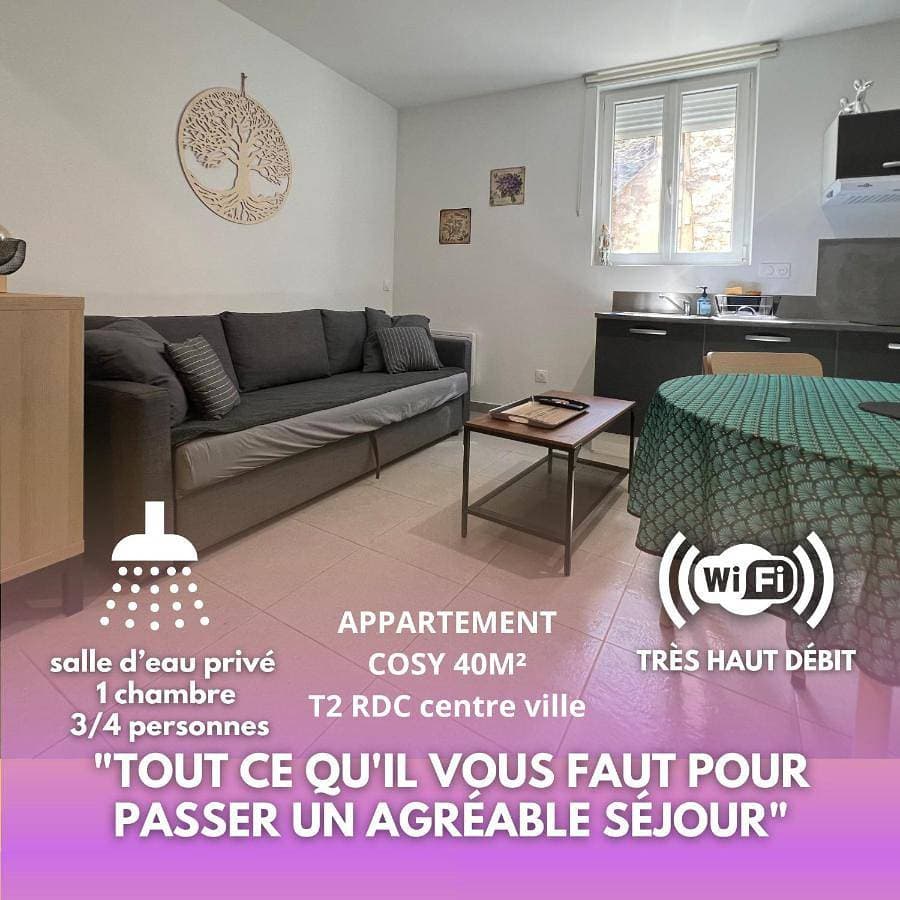 logis des Adhemar ,apparts cosy centre ville ,sejour-tricastin 1