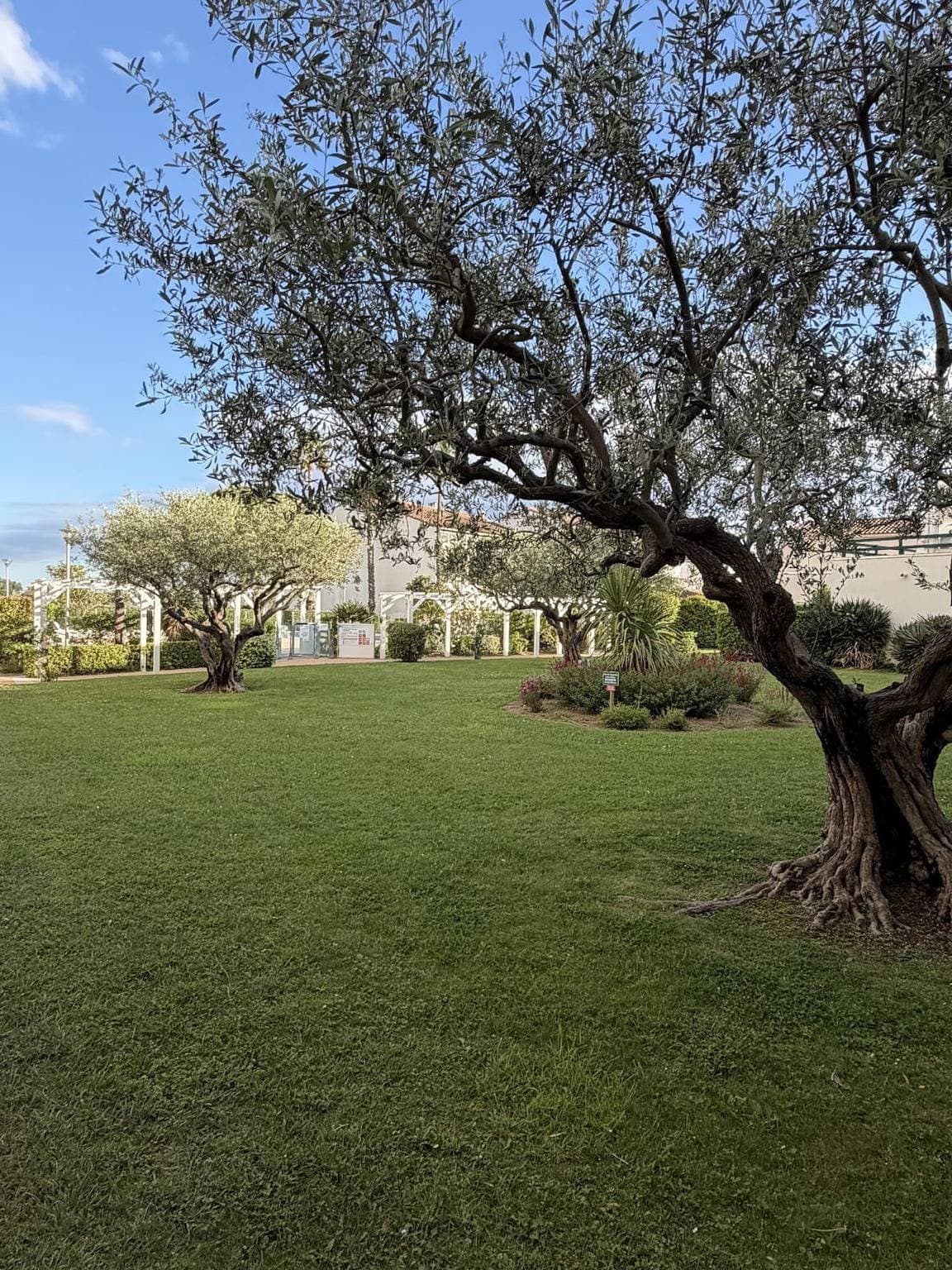 Foto 4 von 31: Terrasses du Lac – vue lac piscine clim parking terrasse