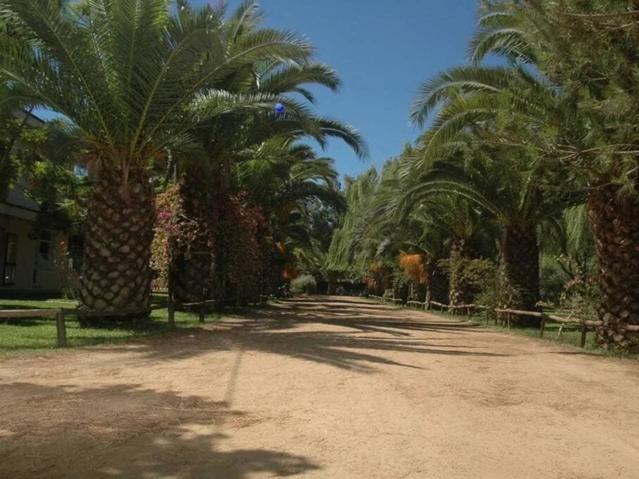 Foto 5 von 28: Camping Iscrixedda