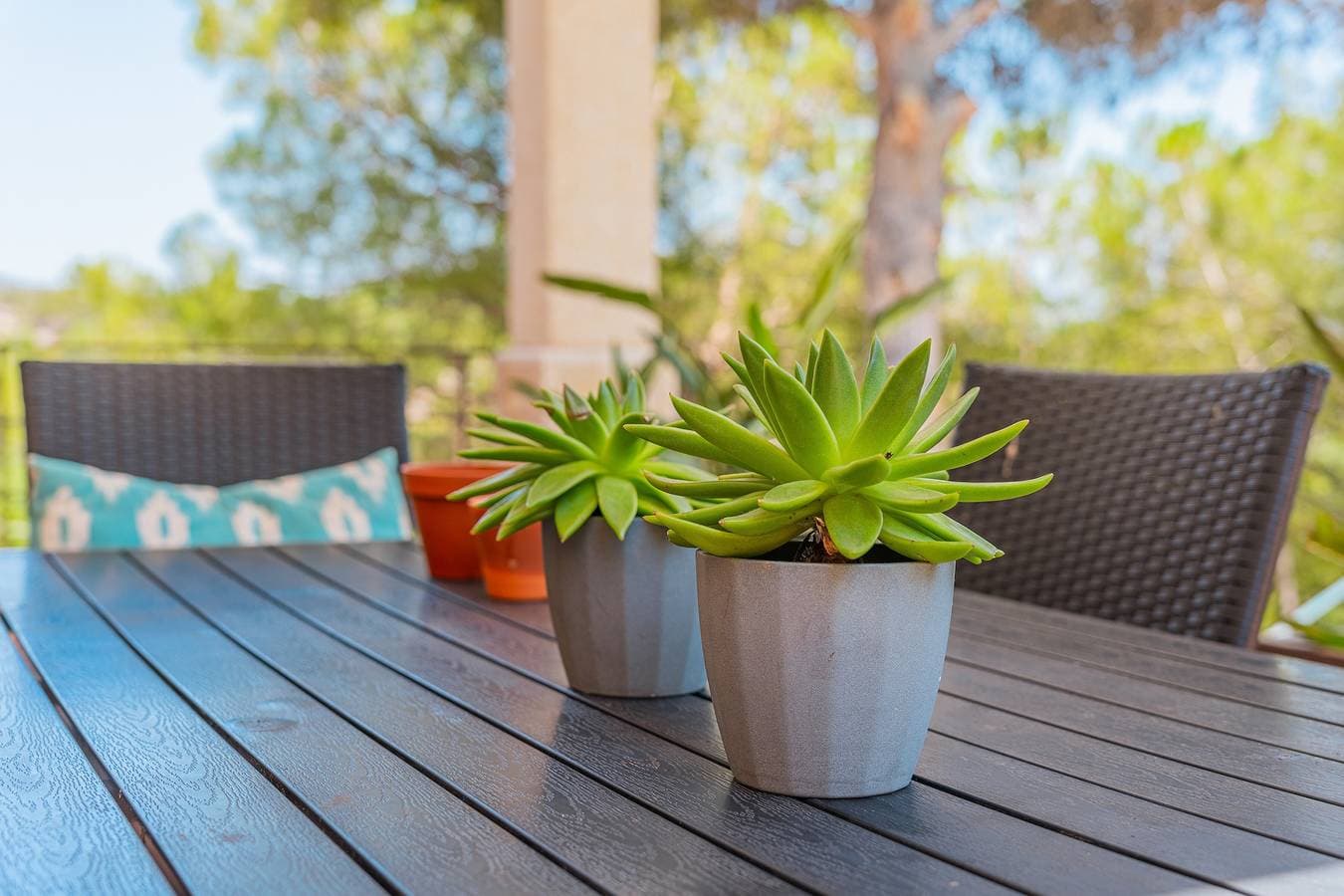 Foto 9 von 25: Haustierfreundliche Villa Ses Basses mit Bergblick, Pool und WLAN