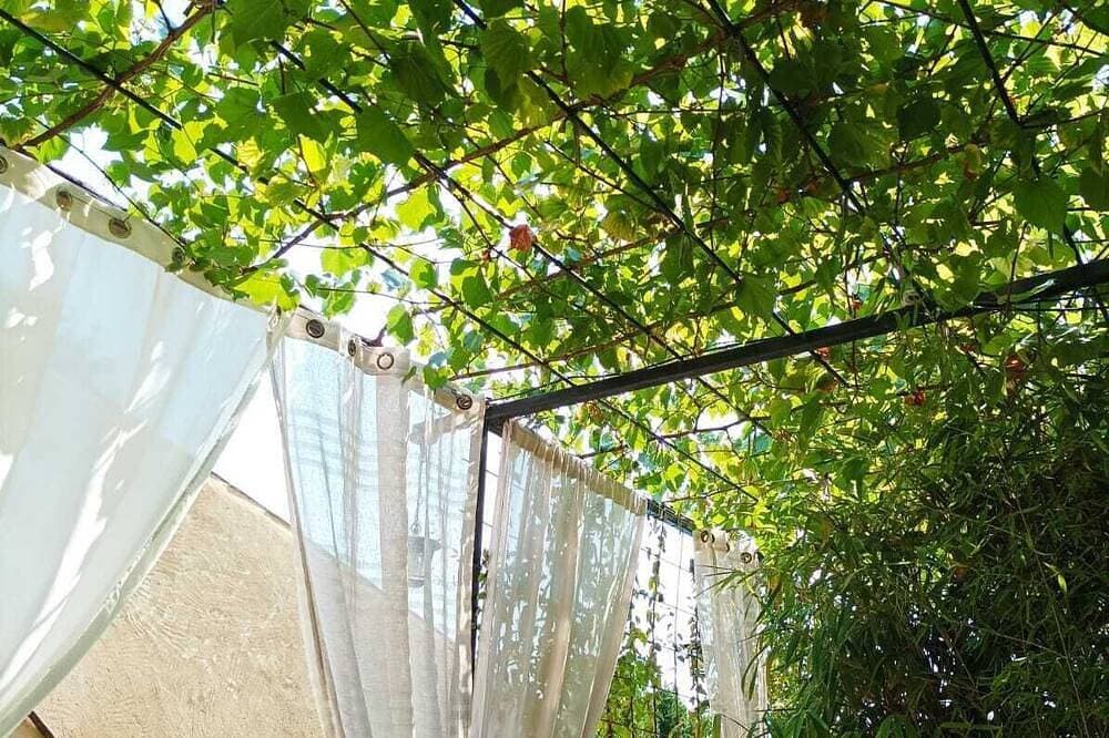 Foto 13 von 27: Gite In Provence Pool