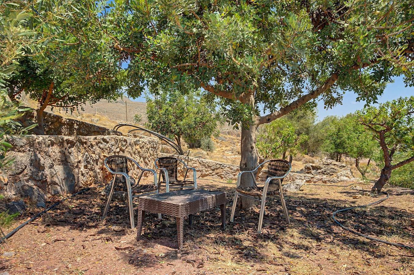 Foto 13 von 28: Alkioni Apartments Kato Zakros – Meerblick & Komfort für bis zu 4 Personen