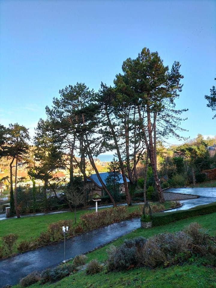 Foto 12 von 16: Double Room with Garden View
