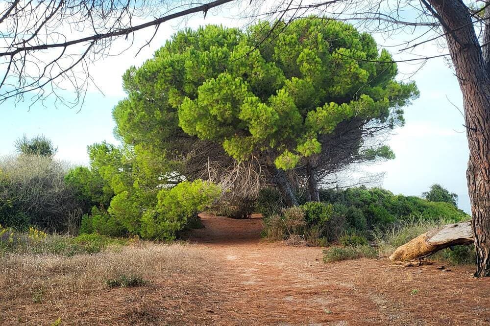 Foto 12 von 19: S'échapper Pour des Vacances de Rêves