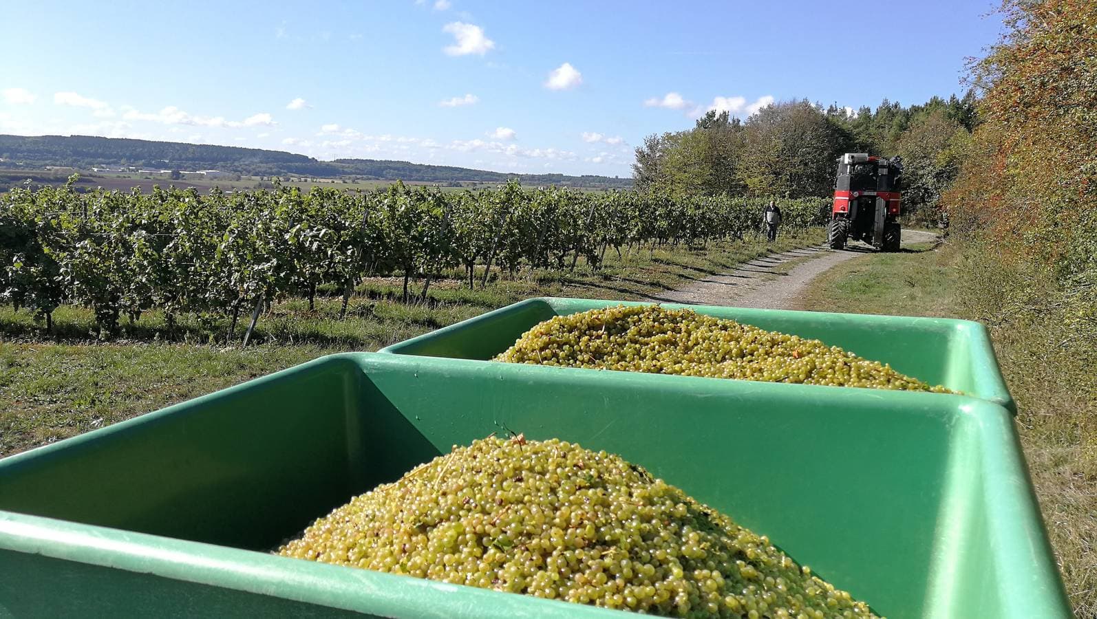 Foto 6 von 14: Weingut & Winzerhof Spengler - Doppelzimmer inklusive Frühstück