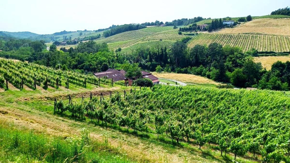 Foto 6 von 16: Villa with Garden View