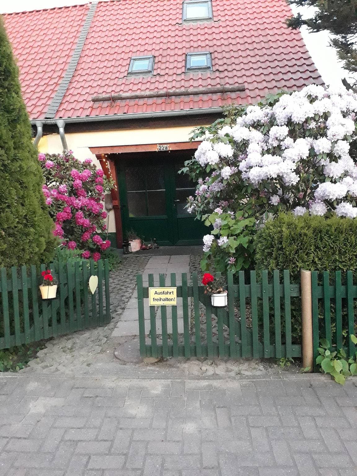Harzglück 1