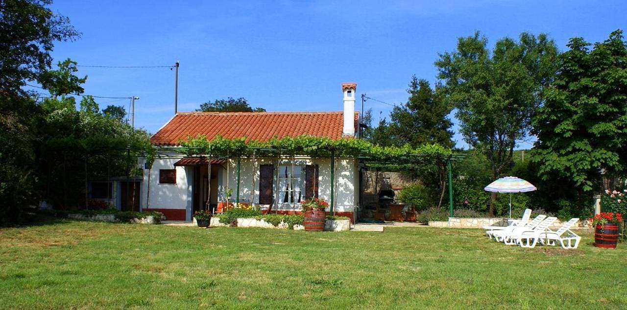 HOUSE VIOLETA 1