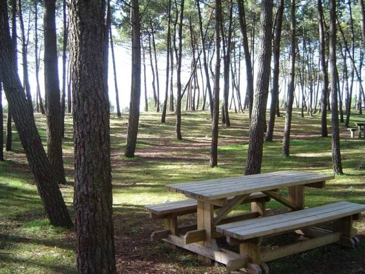 Foto 11 von 12: Häuschen nahe Strand mit Parkplatz, 4 Personen