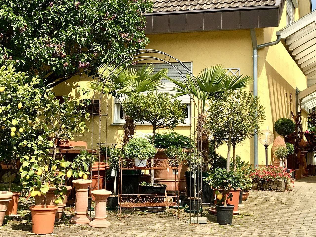 Casa Limone 1