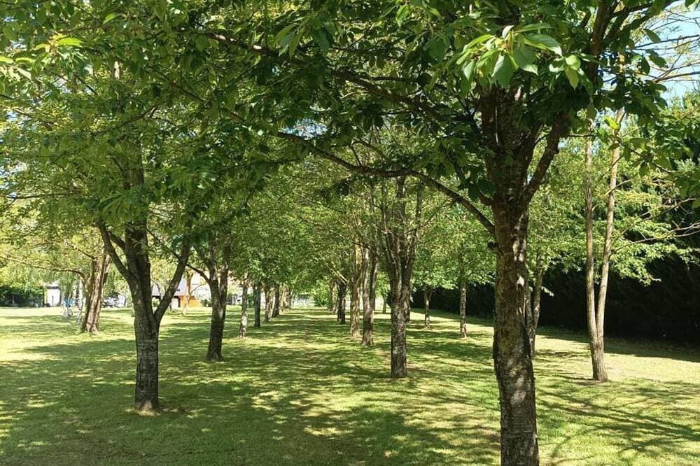 Foto 9 von 20: Komfortable Ferienwohnung in idyllischem Garten mit Kamin & Parkplatz