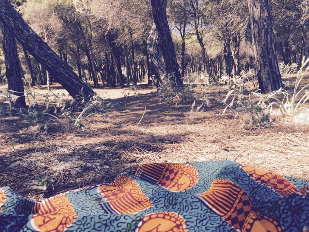Foto 11 von 118: Sa Petra Ruja Vacanze