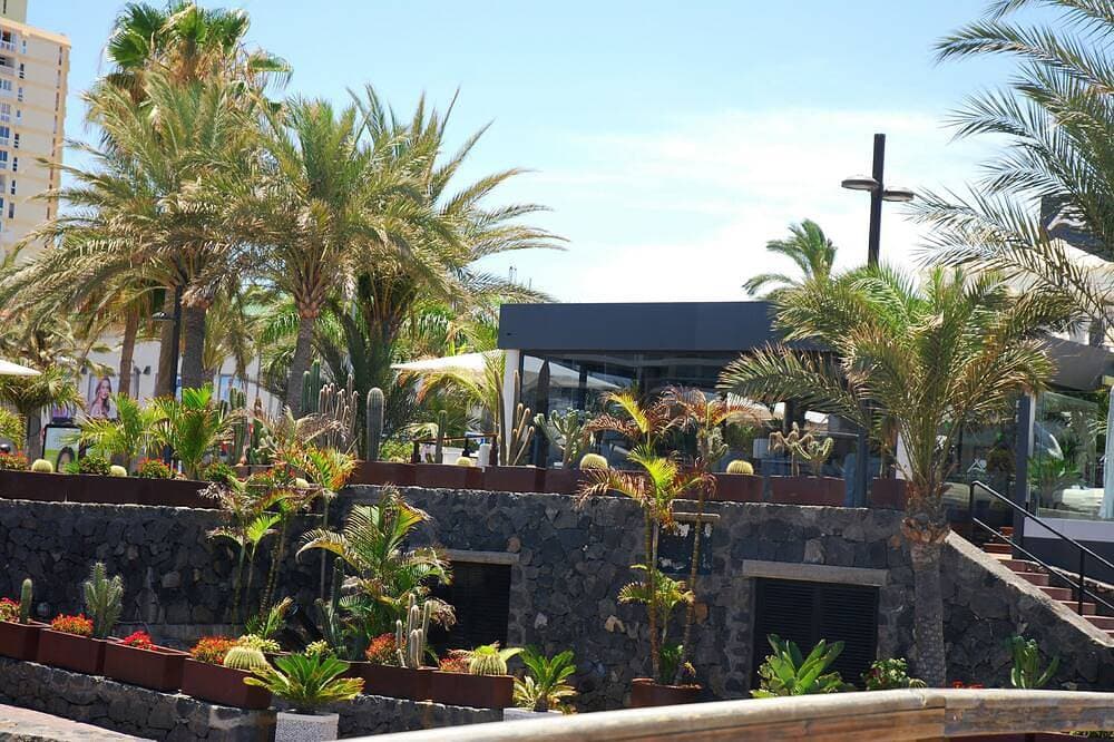 Foto 11 von 19: Las Americas, 2 Personen, WLAN, Pool, Meerblick Und Pool