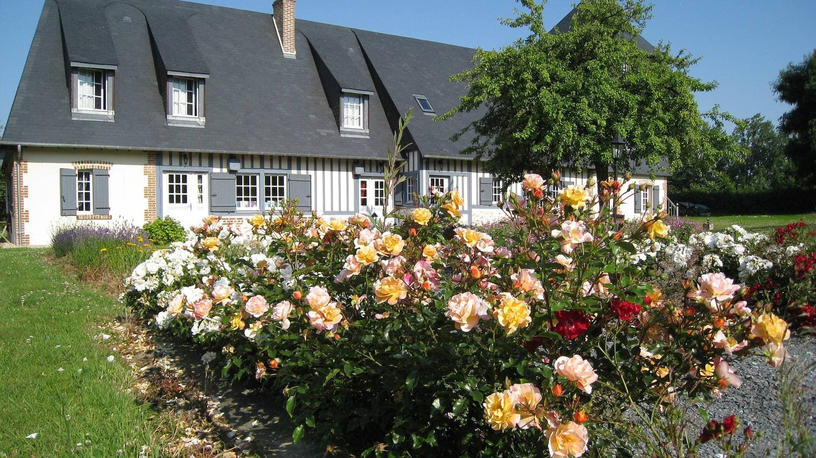 Foto 5 von 16: Gästezimmer „Les Arums“ mit gemeinsamer Terrasse, Garten und WLAN