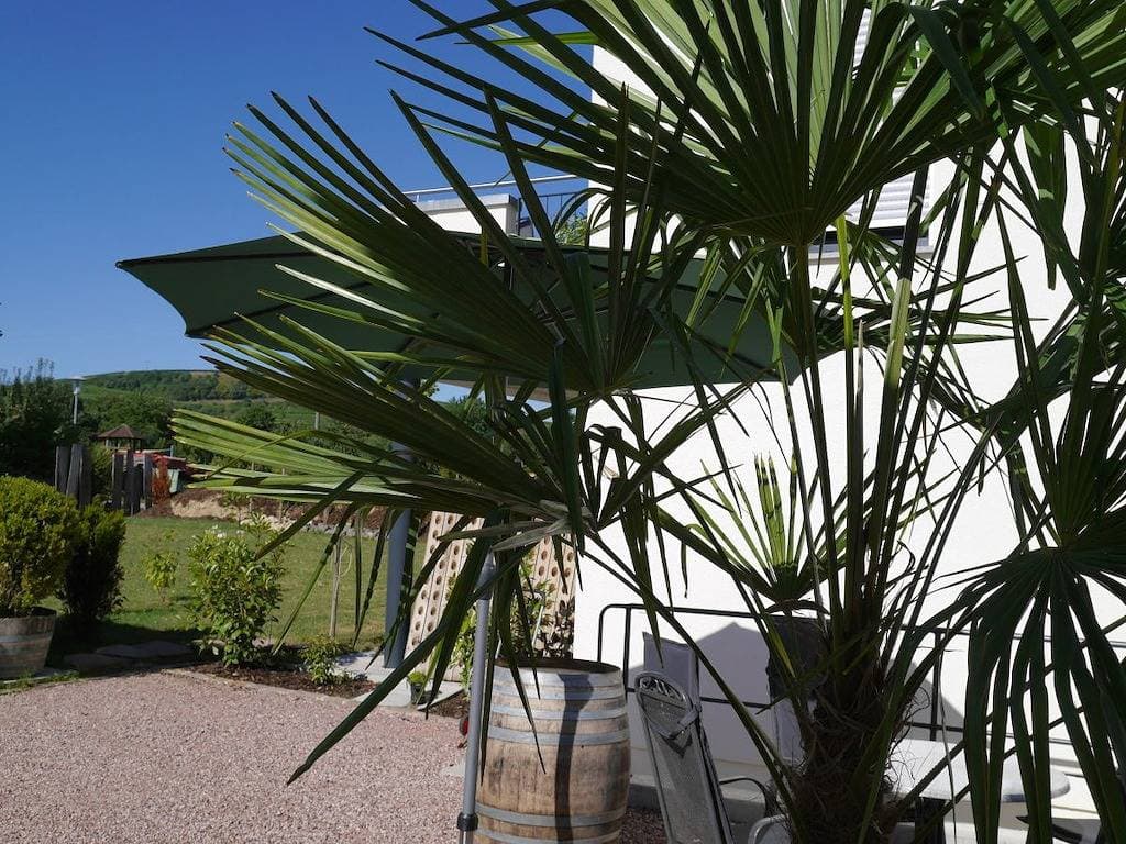 Foto 2 von 32: Frühburgunder im Ferienhaus Lehmättle