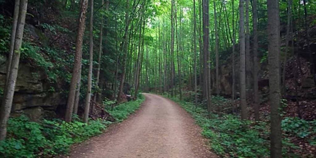 Foto 7 von 19: Stay In Ohiopyle