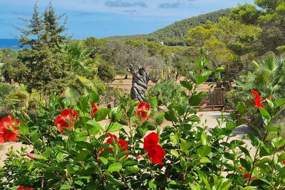 Foto 7 von 30: Santa Eulalia Del Rio: Chalet - Ibiza mit pool und wunderschoenen meerblick