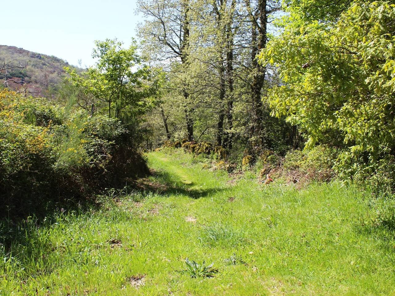 Foto 10 von 48: Perfekte Harmonie im Nationalpark Peneda-Gêres