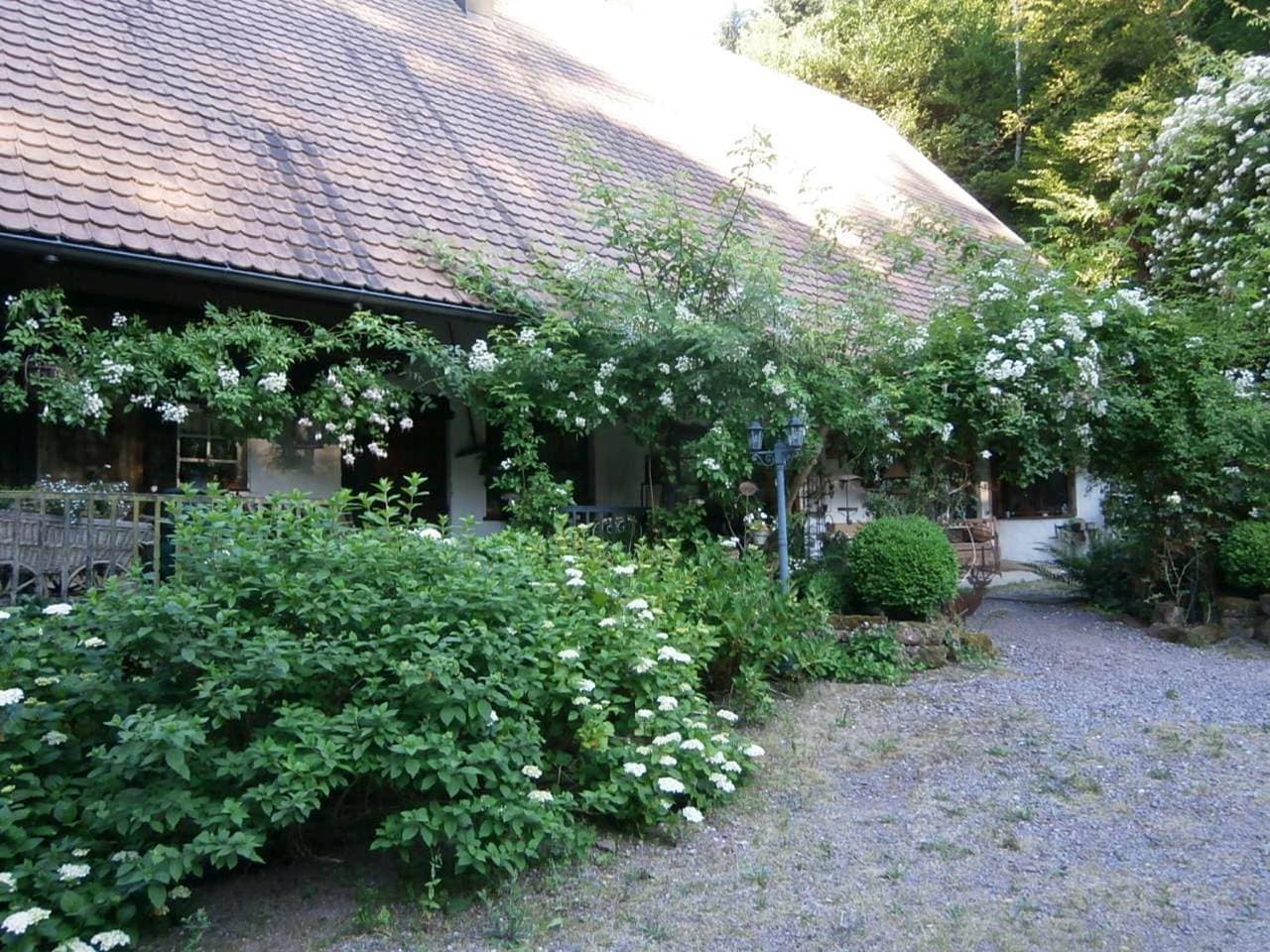 Foto 8 von 28: Apartment - Ground Floor