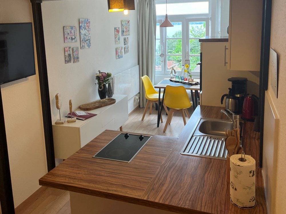 Foto 11 von 26: Winzerhäusle Meersburg - Fährblick-modernes Studio mit Seesicht
