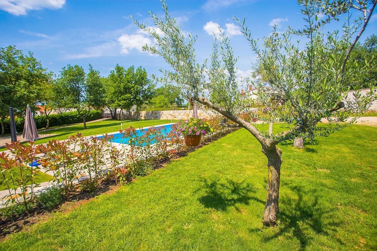 Foto 10 von 24: Ferienwohnung Jakici I mit Gemeinschaftspool auf Pferderanch