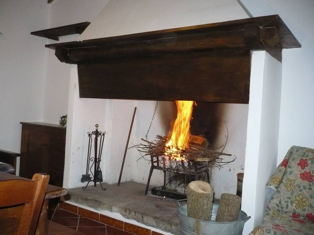 Foto 5 von 35: Rotreiher-Urlaub am Trasimeno-See