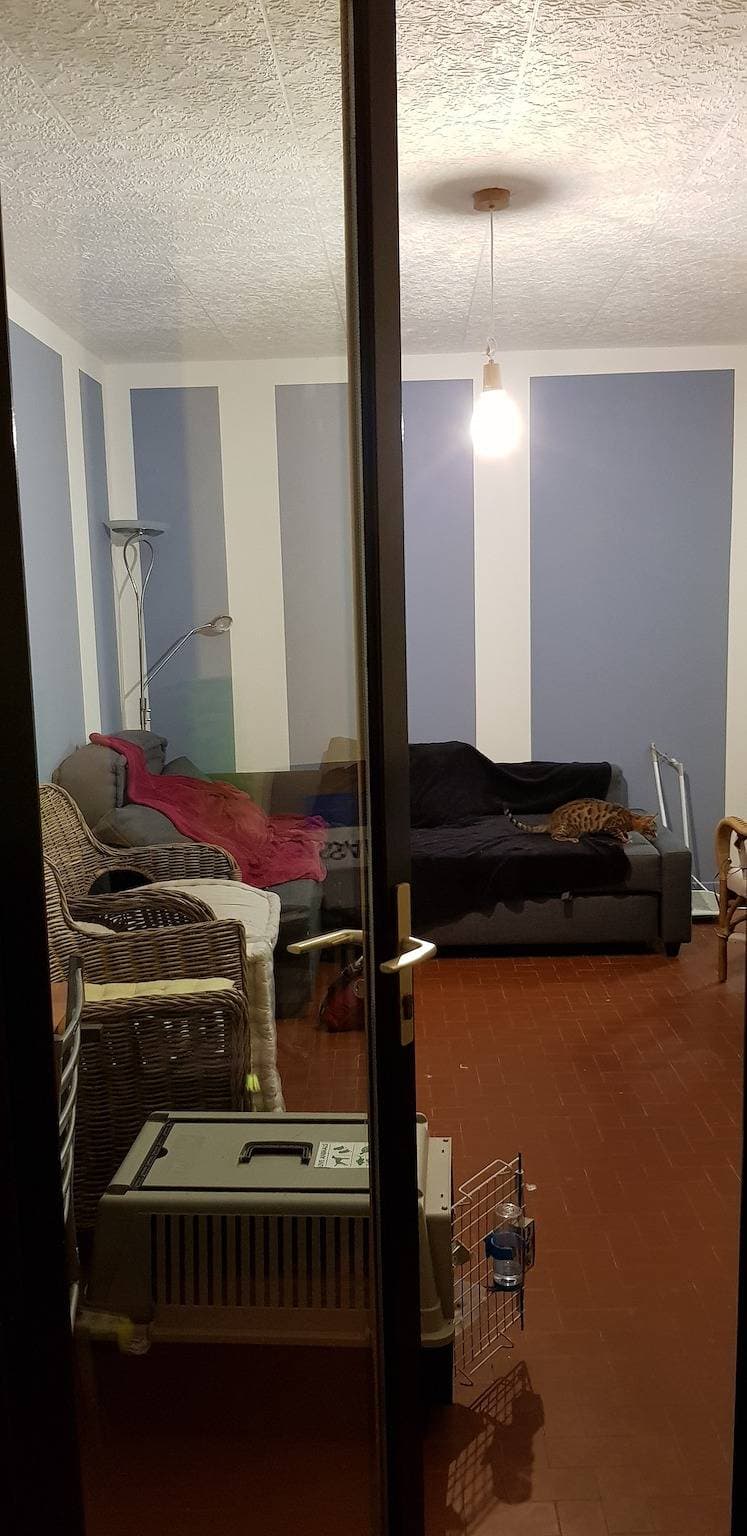 Foto 3 von 12: Charmante Wohnung in Saintes-Maries-de-la-Mer, 44 qm, Balkon