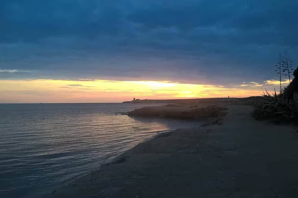 Foto 7 von 7: Belvedere Windsurf