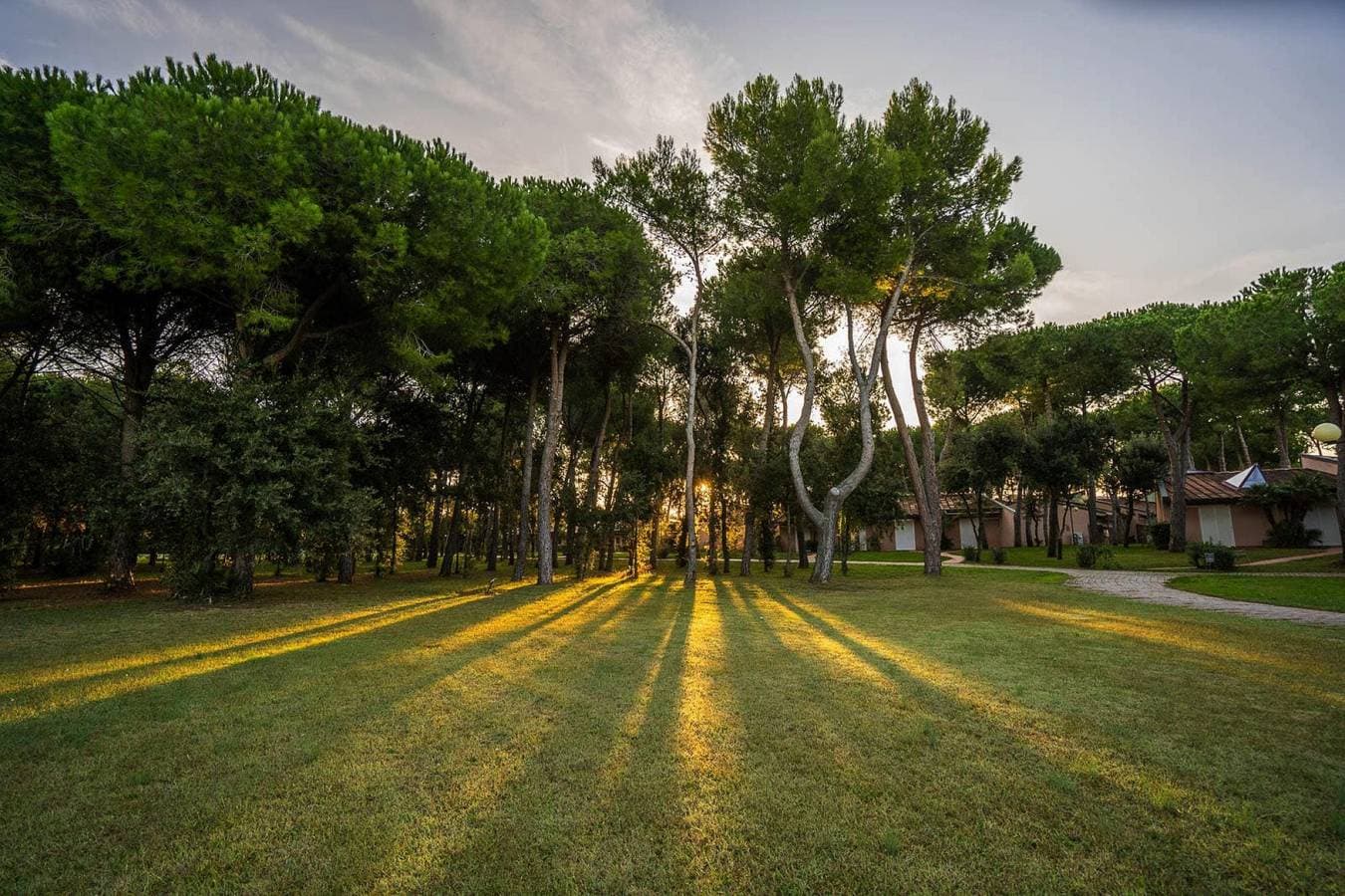 Foto 8 von 24: Resort Riva degli Etruschi, San Vincenzo