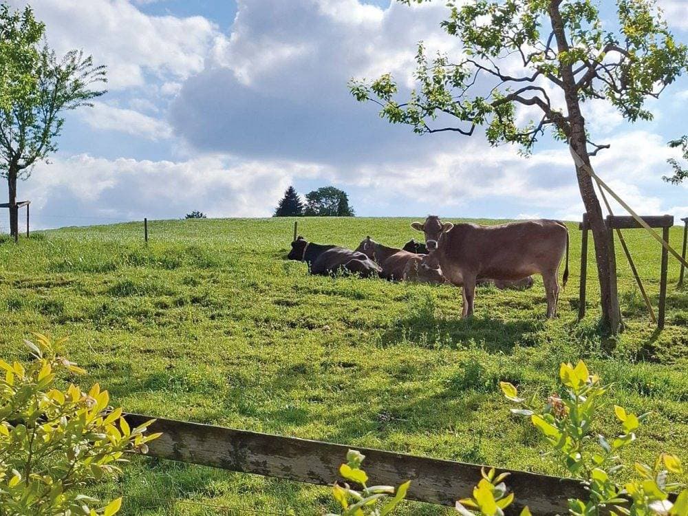 Foto 10 von 28: Ferienhof Roth - Unterm Nussbaum