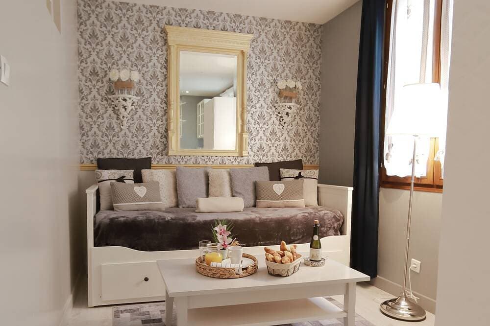 Médicis apartment with garage 1