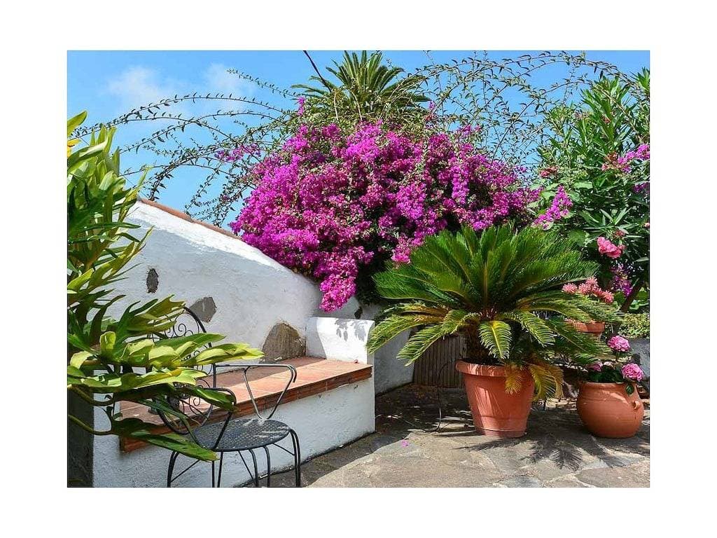Foto 4 von 26: Juwel im Paradies || La Victoria de Acentejo