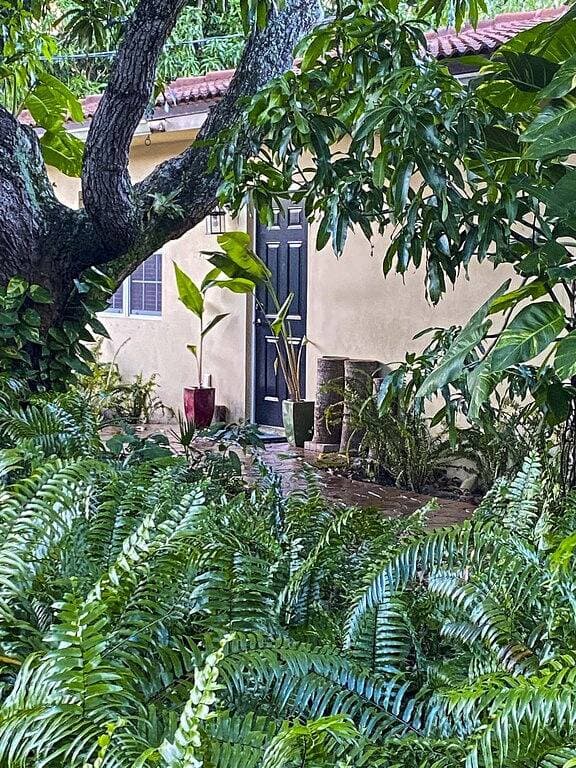 Foto 11 von 36: Spacious & refreshing, The Mango Cottage: Near the beach & all things S. Fl!