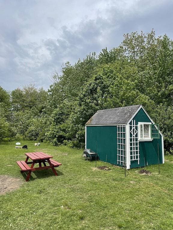 Foto 4 von 12: Sun Shed Farm Stay
