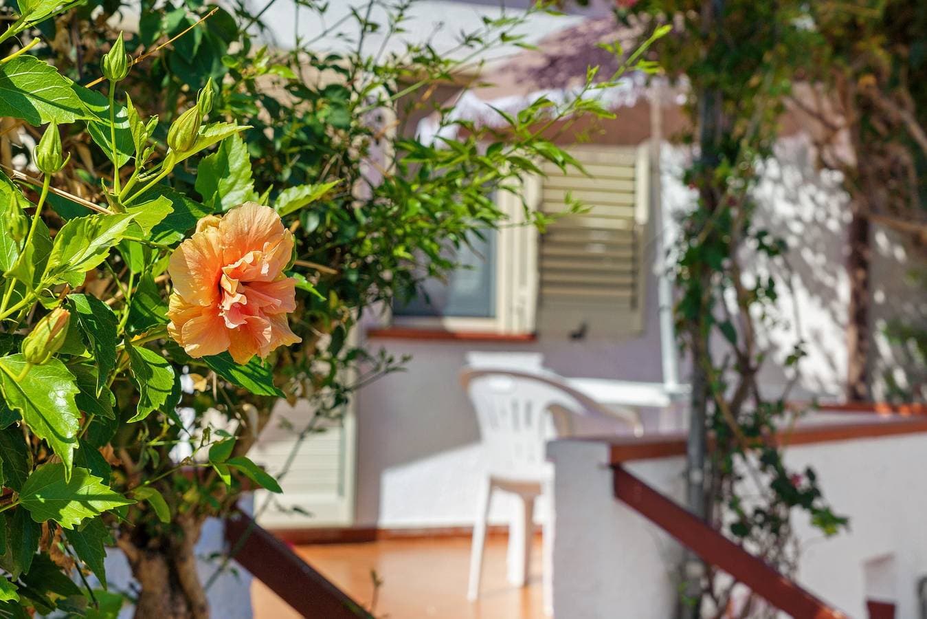 Foto 10 von 23: Ferienhaus 'Istella - B' mit privater Terrasse