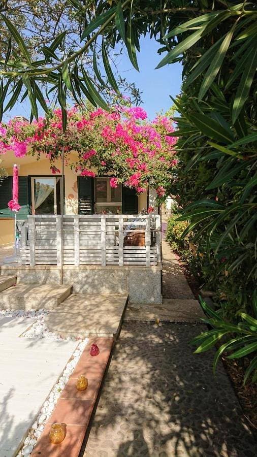 Villa Babai 1