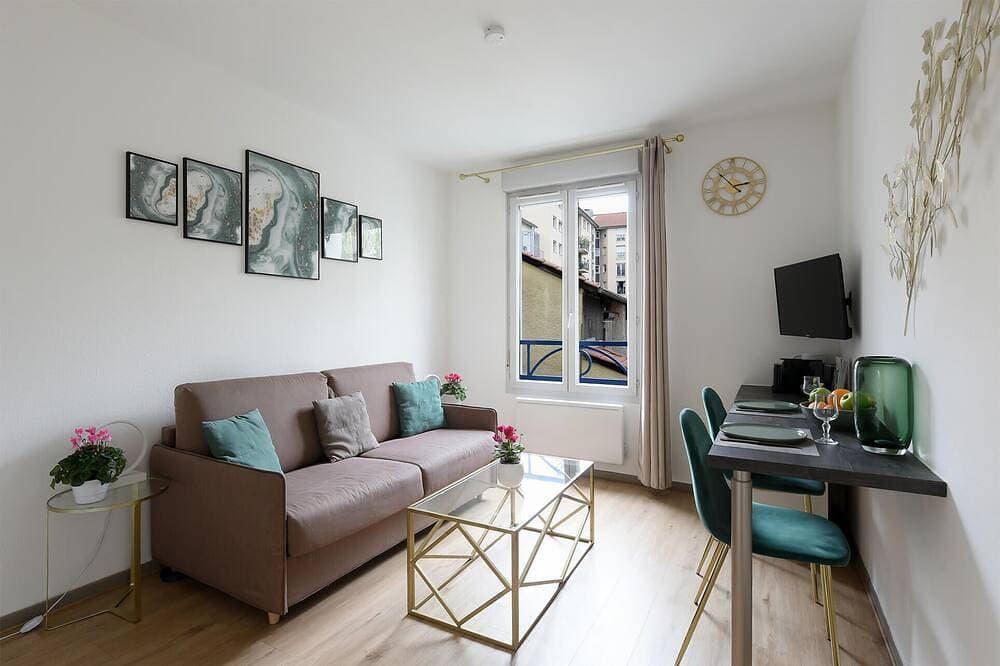 City center, Lyon 2/Lyon 3 University, parking, everything walking distance! 1