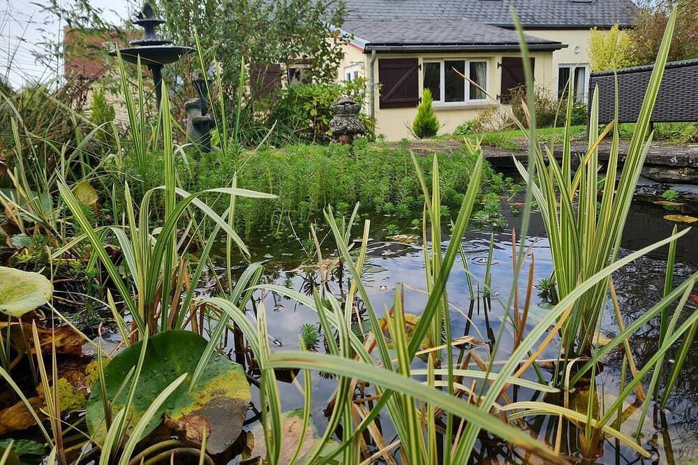 Wunderschönes, großes Ferienhaus zum Entspannen in der wunderschönen ländlichen Basse-Normandie 1