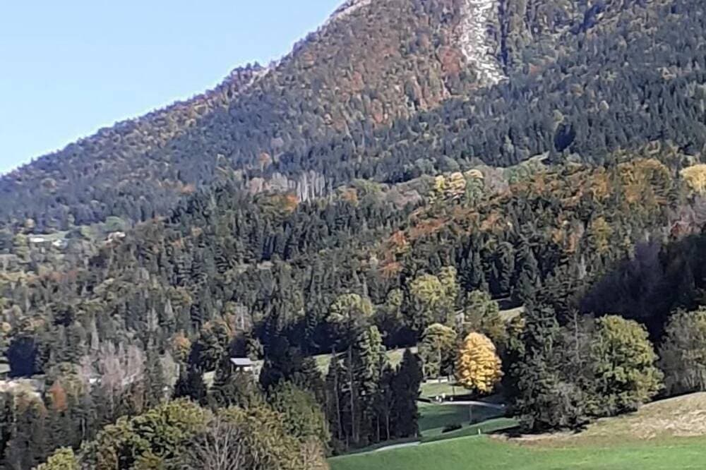 Foto 7 von 28: Le Marmotton - Entremont Le Vieux
