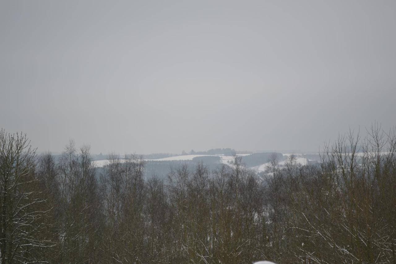 Foto 10 von 29: Holiday Home