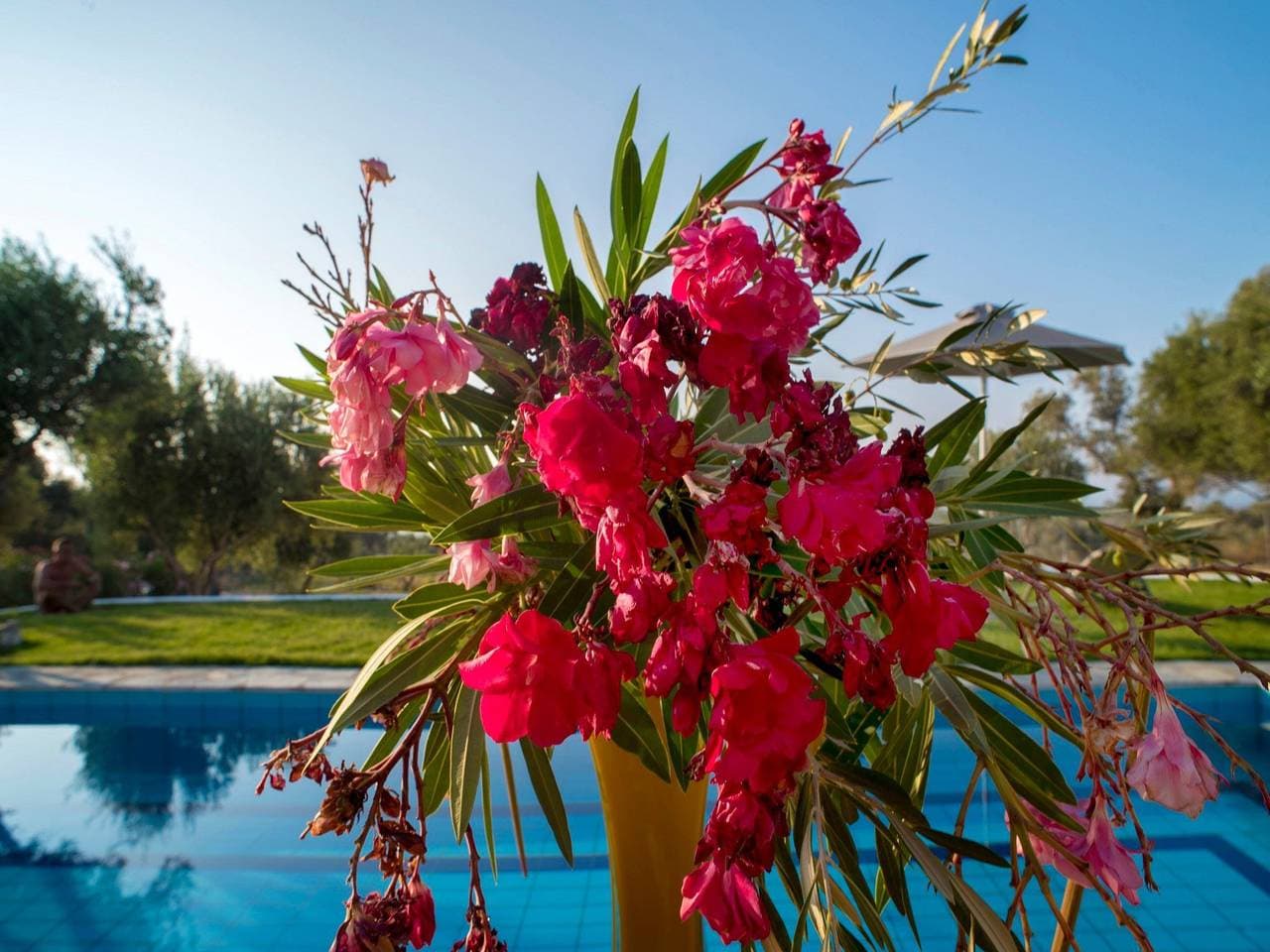 Foto 10 von 33: Villa Kyria Kreta